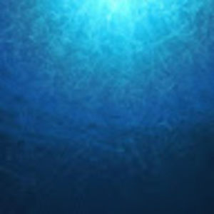 Meet your Posher, Alden